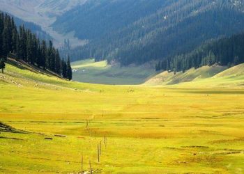 J&K govt rules out construction of buildings, hotels in Bungus Valley