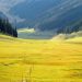 J&K govt rules out construction of buildings, hotels in Bungus Valley