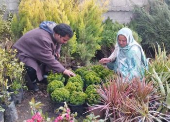 After struggling for govt jobs, Awantipora couple turns to flower business