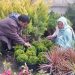 After struggling for govt jobs, Awantipora couple turns to flower business