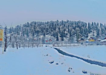 Fresh snowfall in Kashmir Valley, weather likely to improve afternoon