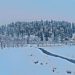 Fresh snowfall in Kashmir Valley, weather likely to improve afternoon