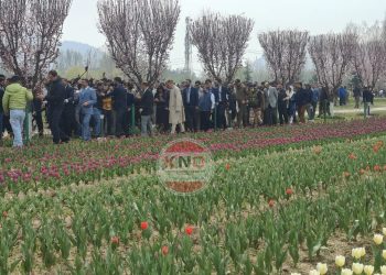 ‘Hello, I Am Open! I Am the Tulip Garden of Srinagar’