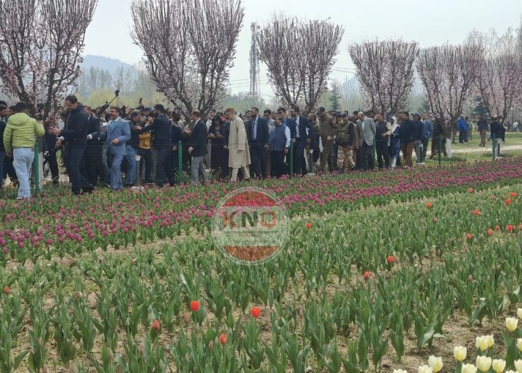 ‘Hello, I Am Open! I Am the Tulip Garden of Srinagar’