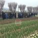 ‘Hello, I Am Open! I Am the Tulip Garden of Srinagar’