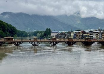 Encroachment removal along water bodies including Jhelum being given top priority: Govt