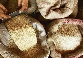 Govt accords sanction to free additional foodgrains for AAY households in J&K