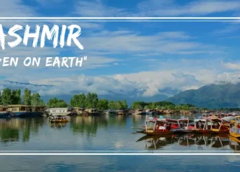 Tourists flee Kashmir post-Pahalgam attack, travel agencies see sharp dip in bookings