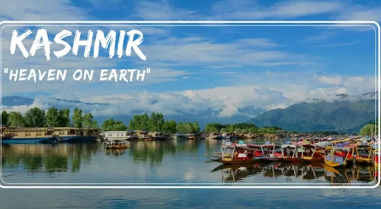 Tourists flee Kashmir post-Pahalgam attack, travel agencies see sharp dip in bookings
