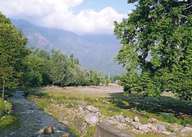 Beat the heat: Harwan, Dachigam streams turn summer retreats for youth