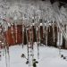 Night chill intensifies across Kashmir amid dry spell