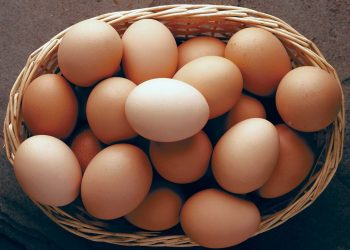 Authorities launch Valley-wide inspection of eggs amid concerns over toxic residues
