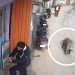 Suspected Wild Boar Attack Leaves 4 Injured in South Kashmir’s Tral