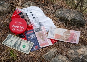 Pakistani Balloons with Foreign Currency Recovered in Akhnoor