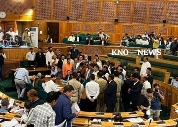 BJP runs mock Assembly from well of House