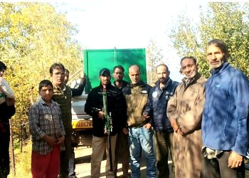 3 Black Bears Captured In Andoo Nowgam, 6 In 20 Days In Anantnag: Wildlife Deptt
