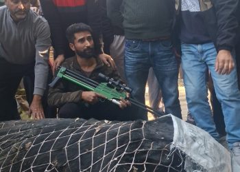 Massive 500-600 Kg Black Bear Tranquilized And Rescued By Wildlife Team In Dooru Anantnag