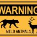 Man injured in wild animal attack in Reasi, hospitalised